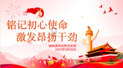 经济策·读懂两会丨富矿精开,落点在“精”